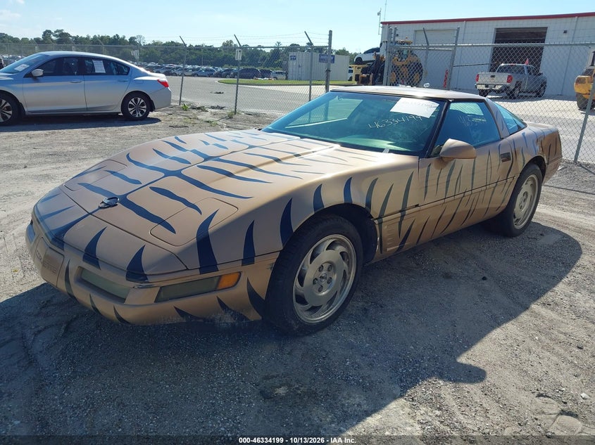 CHEVROLET CORVETTE 1996 VIN 1G1YY22P8T5114152