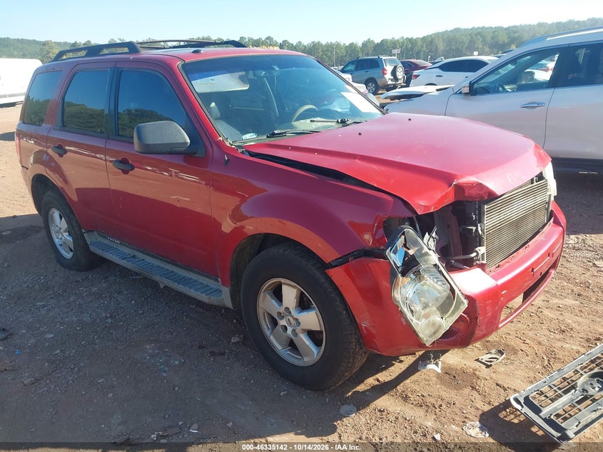 2010 Ford Escape XLT
