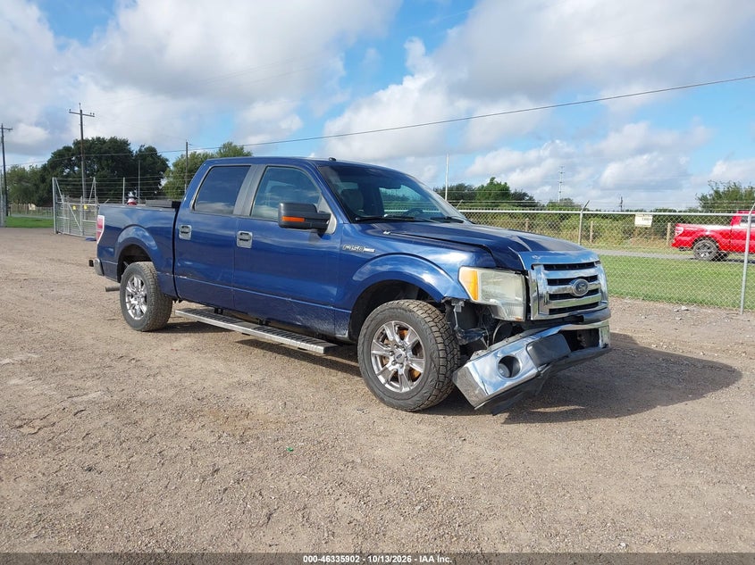 Vin: 1ftew1c84afd87145, lot: 46836161, ford f-150 fx2 sport/xl/xlt 2010 img_1