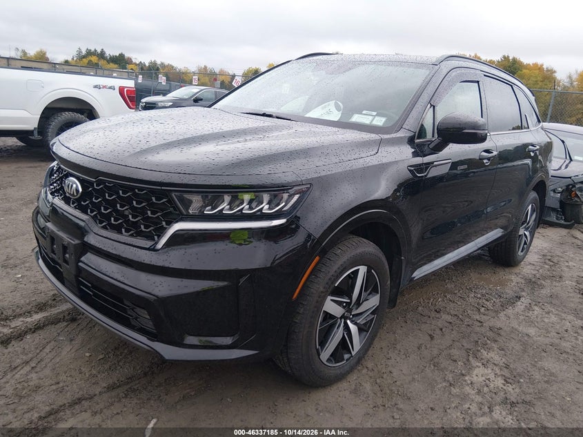 2021 Kia Sorento Ex, Rear, IAAI, VIN 5XYRHDLF4MG011879 — photo 2