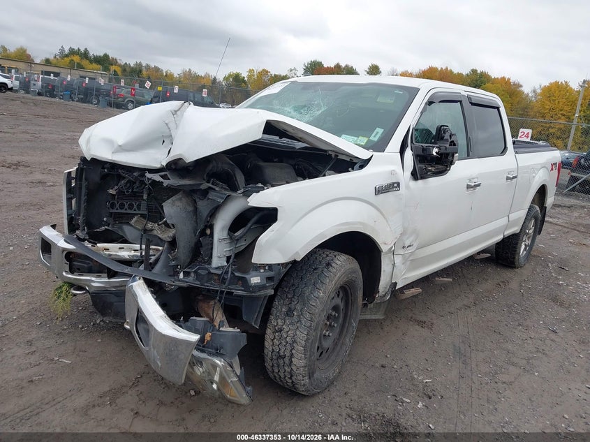 Vin: 1ftfw1eg6ffc96006, lot: 46837612, ford f-150 xlt 20152
