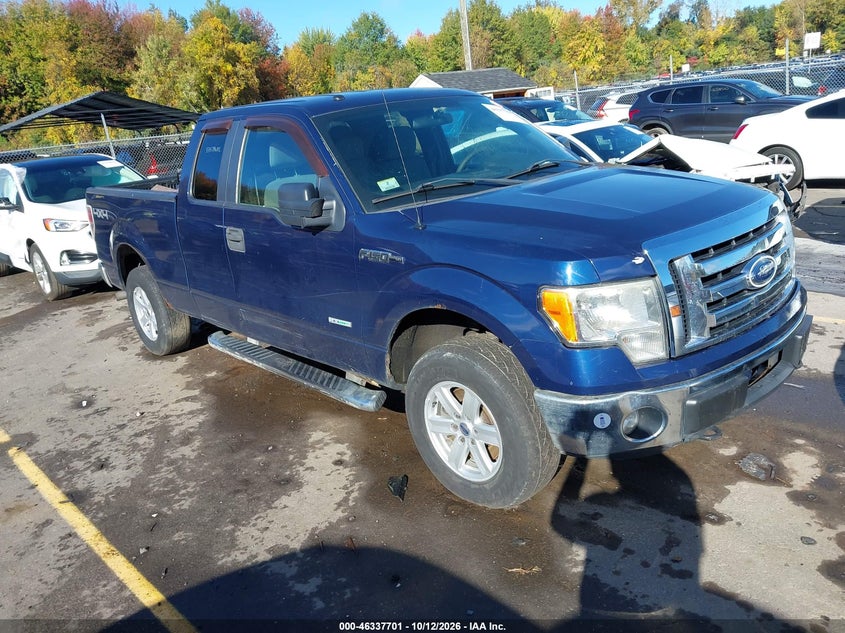 2011 FORD F-150 XLT