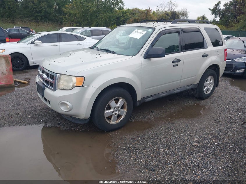 2009 FORD ESCAPE XLT · Фото 2