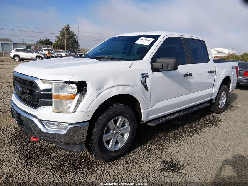Vin: 1ftew1ep1mkd70805, lot: 46842162, ford f-150 xlt 20212