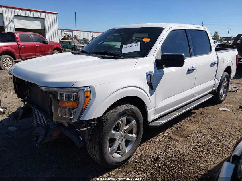 Vin: 1ftew1cpxpkf11409, lot: 46842991, ford f-150 xlt 20232