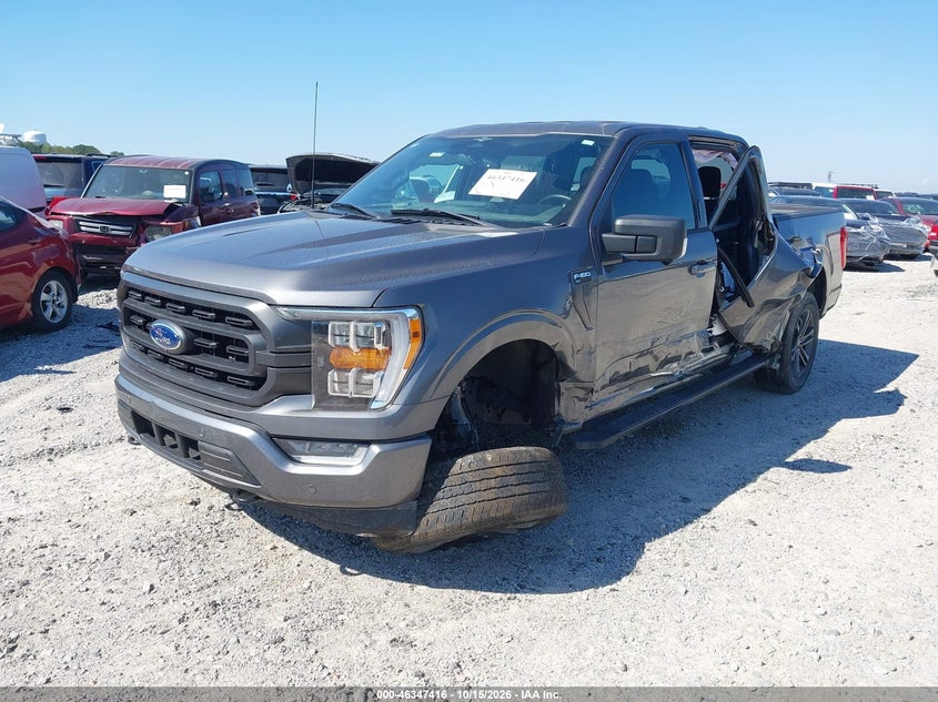 Vin: 1ftfw1e82pkf54698, lot: 46847682, ford f-150 xlt 20232