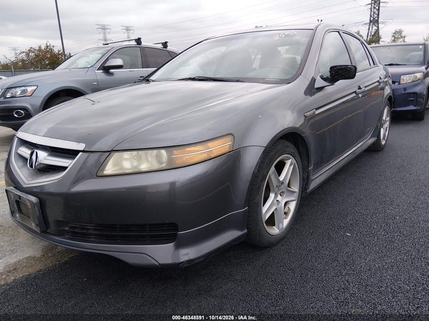 ACURA TL 2006 VIN 19UUA66256A041156