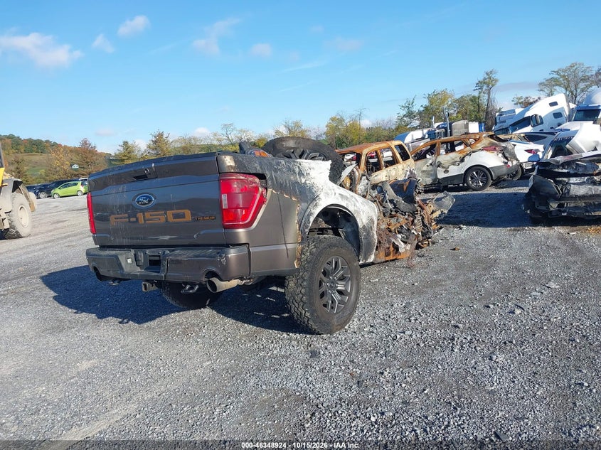 Vin: 1ftew1e89pfc71283, lot: 46849190, ford f-150 tremor 20234