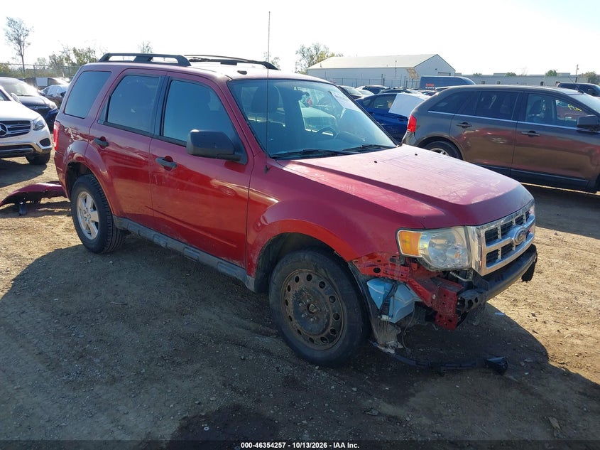 2010 FORD ESCAPE XLT