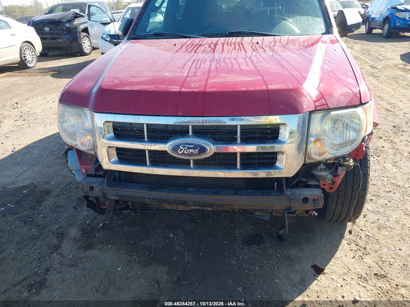 2010 FORD ESCAPE XLT · Photo 6