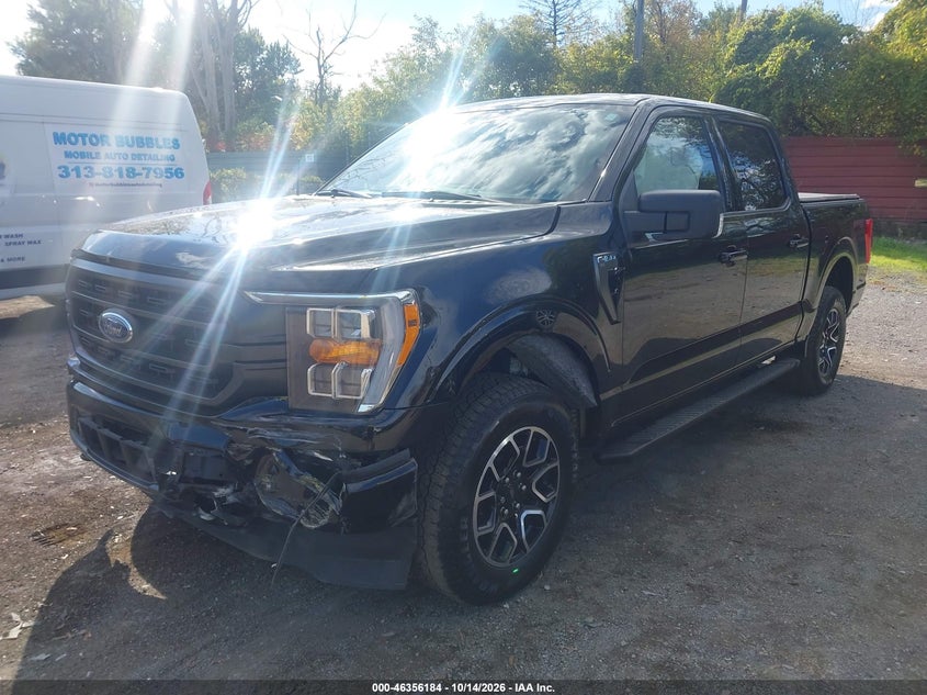 Vin: 1ftew1epxpfd33099, lot: 46856450, ford f-150 xlt 20232