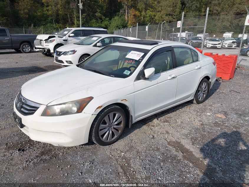 2011 HONDA ACCORD 2.4 EX-L · Фото 2