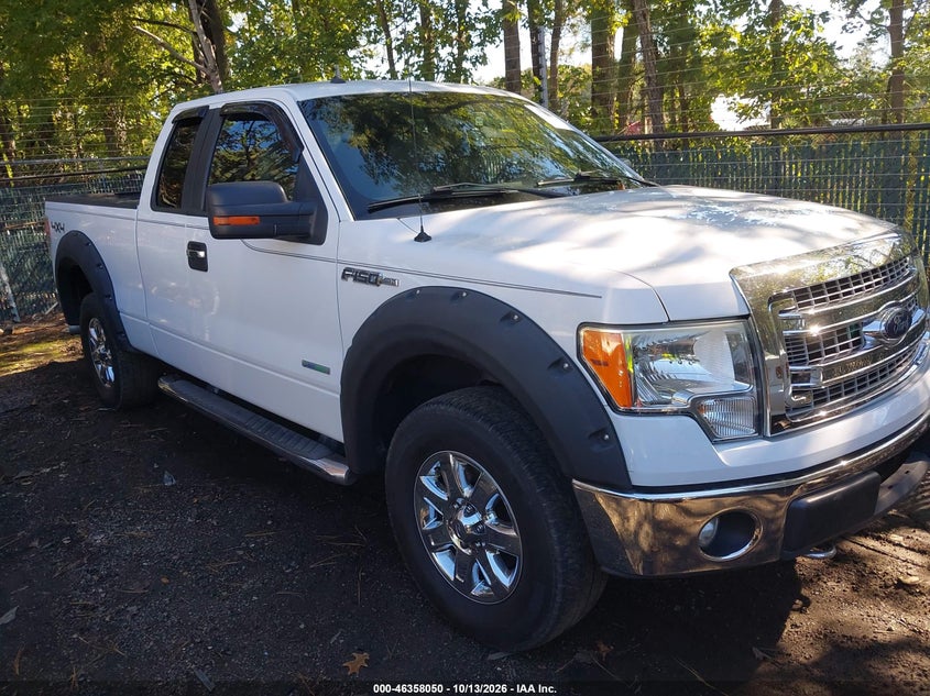 2013 FORD F-150 XLT