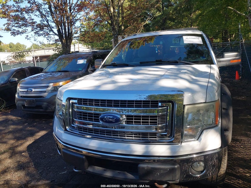 2013 FORD F-150 XLT · Фото 12