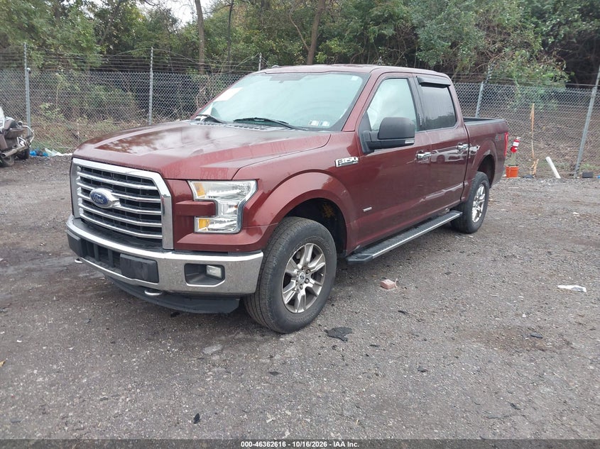 Vin: 1ftew1ep0ffb53502, lot: 46862903, ford f-150 xlt 20152