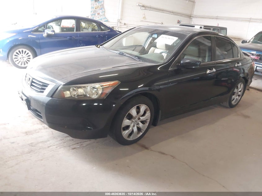 2010 Honda Accord 2.4 Ex-L, Normal Wear & Tear, IAAI, VIN 1HGCP2E88AA024188 — photo 2