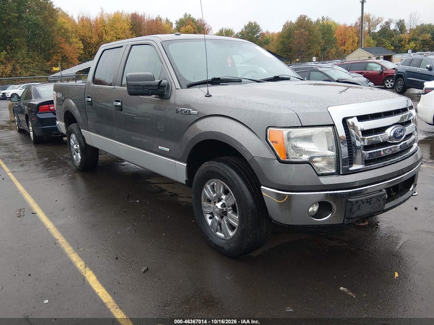 2011 FORD F-150 XLT