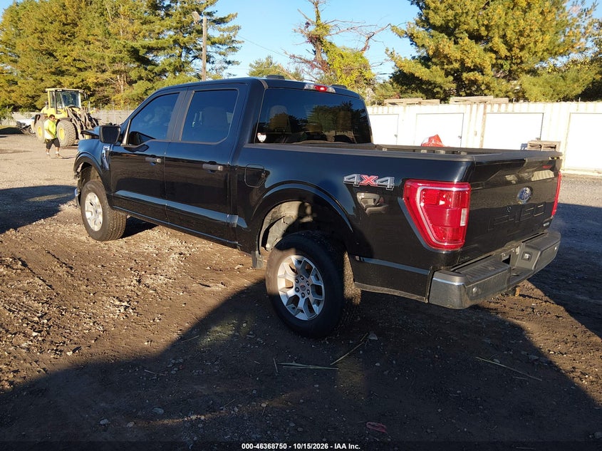 Vin: 1ftfw1e87pfc68600, lot: 46869083, ford f-150 xlt 20233