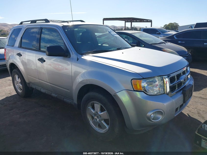 2011 FORD ESCAPE XLT