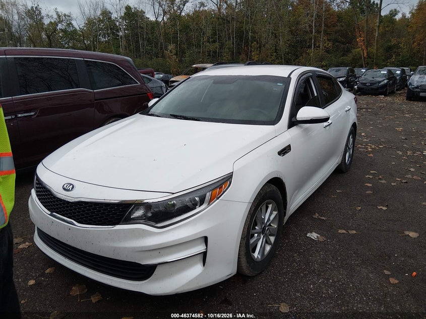 2016 Kia Optima Lx, Rear, IAAI, VIN KNAGT4L30G5100824 — photo 2