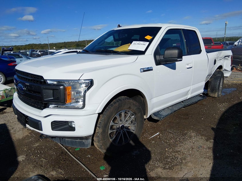 2019 Ford F-150 Xlt, Левый бок, IAAI, VIN 1FTEX1EP1KFB91876 — фото 2