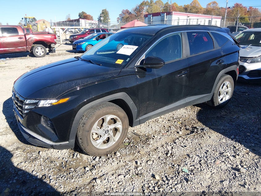 2024 Hyundai Tucson Sel, Rear, IAAI, VIN 5NMJB3DE2RH422435 — photo 2