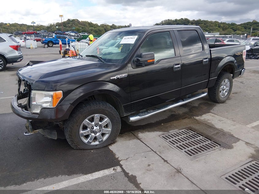 Vin: 1ftfw1ef4dfa17494, lot: 46883216, ford f-150 xlt 20132