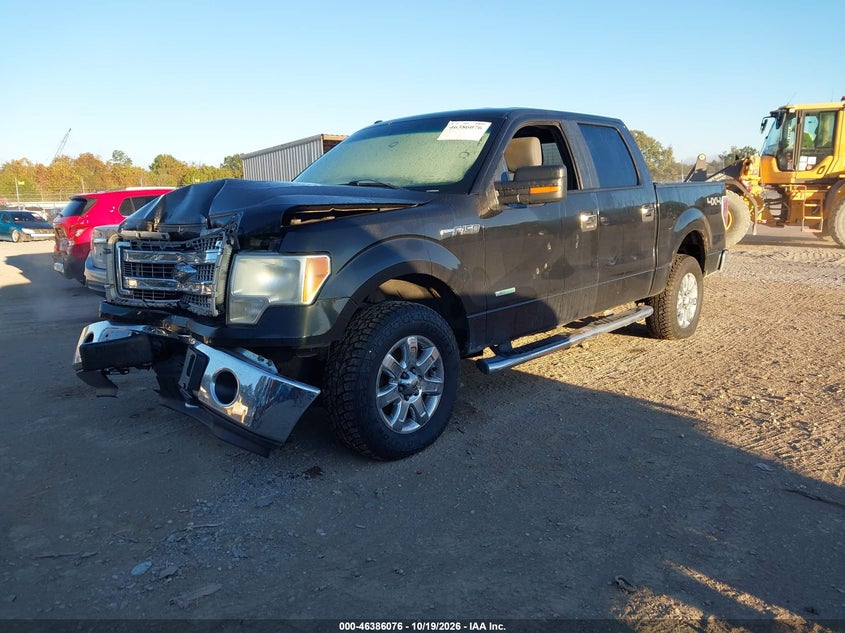 Vin: 1ftfw1et5efb75558, lot: 46886423, ford f-150 xlt 20142