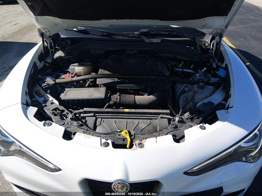 ALFA-ROMEO STELVIO 2020 VIN ZASPAKAN0L7C92270