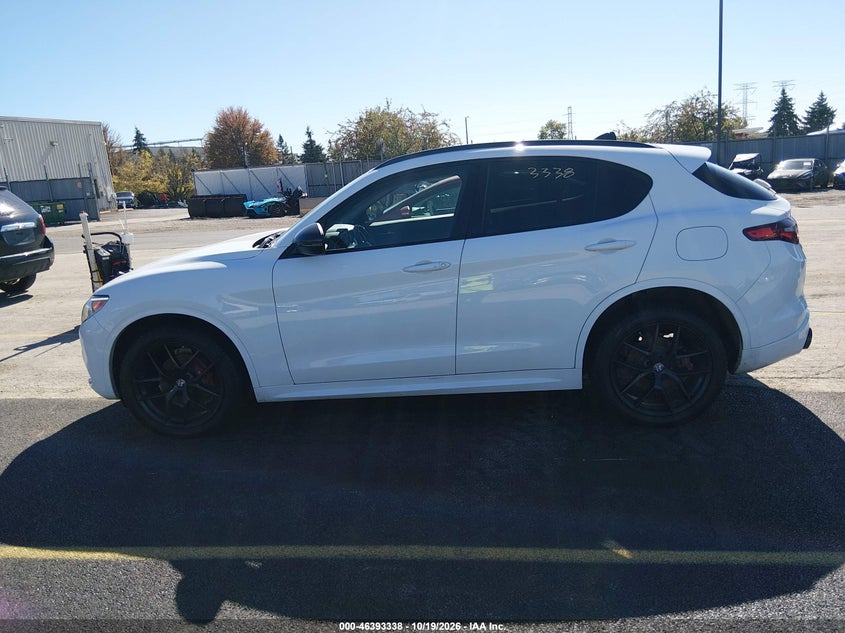 ALFA-ROMEO STELVIO 2020 VIN ZASPAKAN0L7C92270