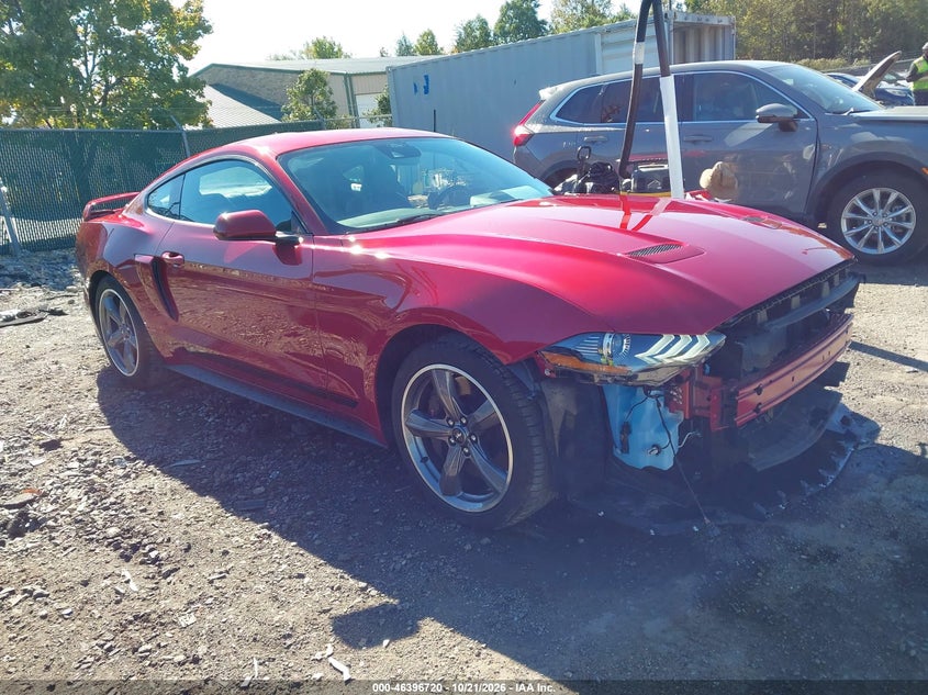 FORD MUSTANG - zdjęcie 1
