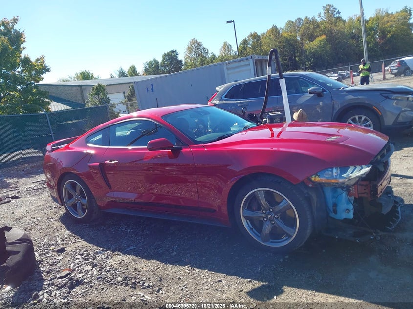 FORD MUSTANG - zdjęcie 14