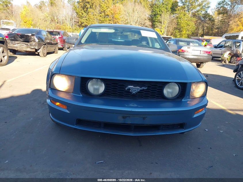 2007 FORD MUSTANG GT DELUXE/GT PREMIUM · Фото 12