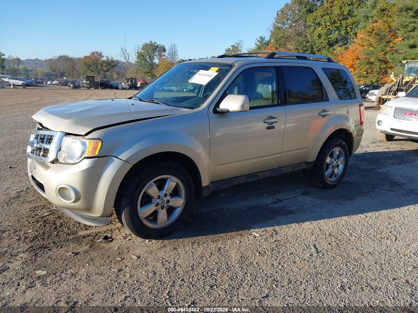 2011 Ford Escape Limited, Front End, IAAI, VIN 1FMCU9EG5BKC36951 — photo 2