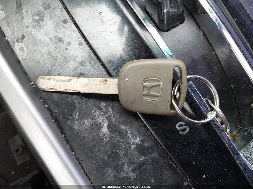 lot image 4