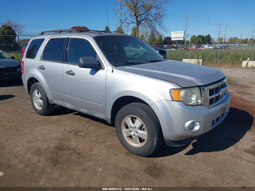 2010 FORD ESCAPE XLT