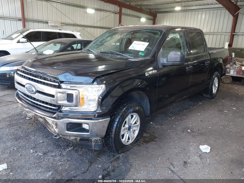 Vin: 1ftew1e44kfa81705, lot: 46906063, ford f-150 xlt 20192