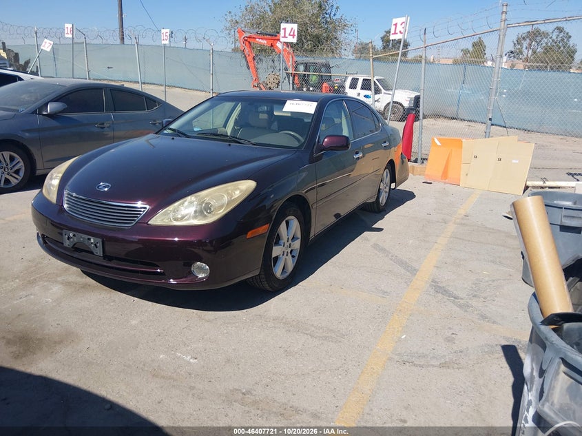 LEXUS ES 330 2006 VIN JTHBA30G065162869