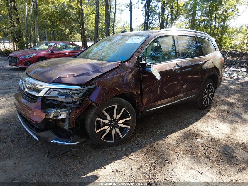 2019 Honda Pilot Elite, Оба бока, IAAI, VIN 5FNYF6H09KB064860 — фото 2