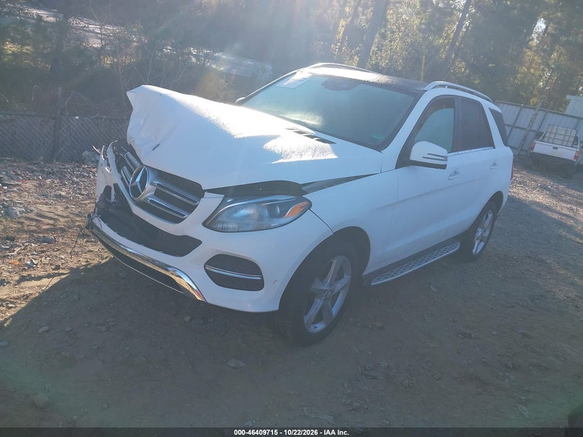 2016 Mercedes-Benz Gle 350 4Matic, Unknown, IAAI, VIN 4JGDA5HBXGA778789 — photo 2
