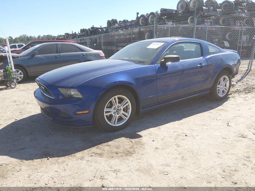 2013 Ford Mustang V6, Удар сзади, IAAI, VIN 1ZVBP8AM9D5258284 — фото 2