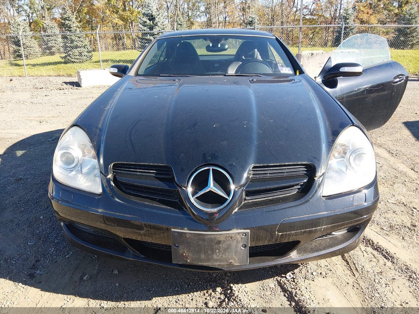 2007 MERCEDES-BENZ SLK 350 · Фото 6