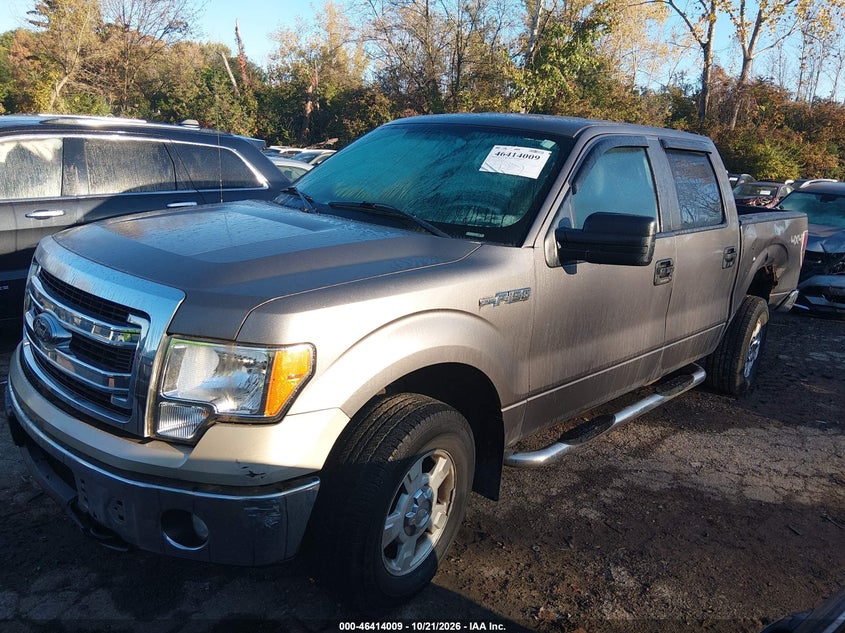 Vin: 1ftfw1ef5dke94023, lot: 46914376, ford f-150 xlt 20132