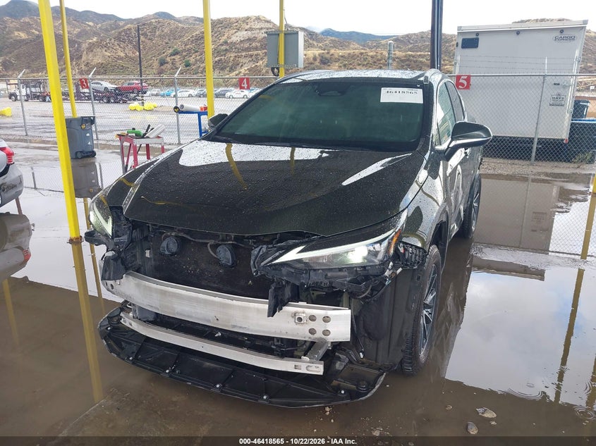 Vin: 2t2gdcaz6pc003112, lot: 46918931, lexus nx 250 premium 20232
