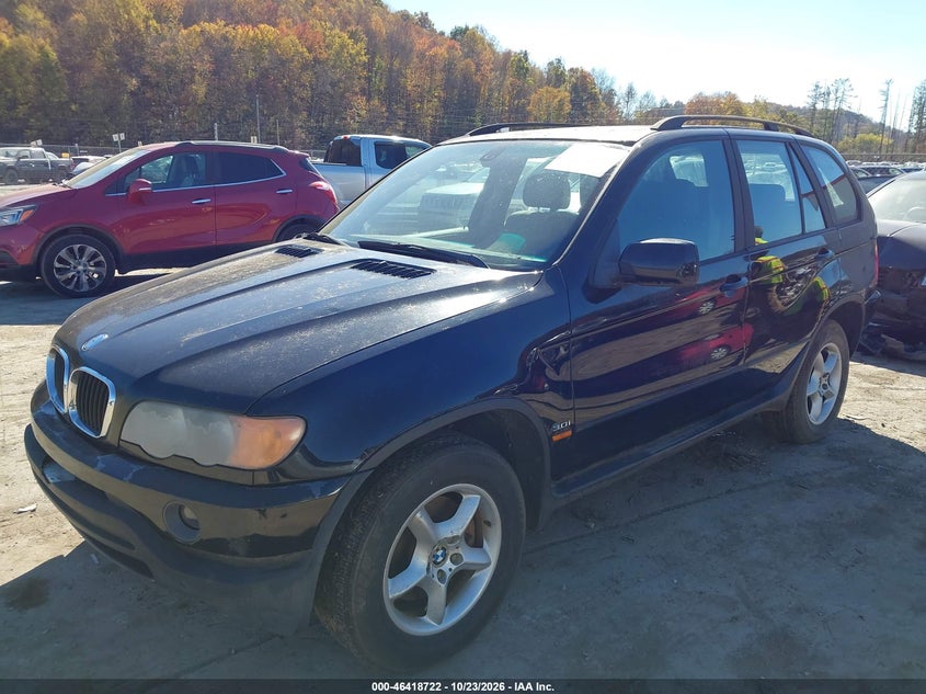 BMW X5 2002 VIN 5UXFA53582LP51889