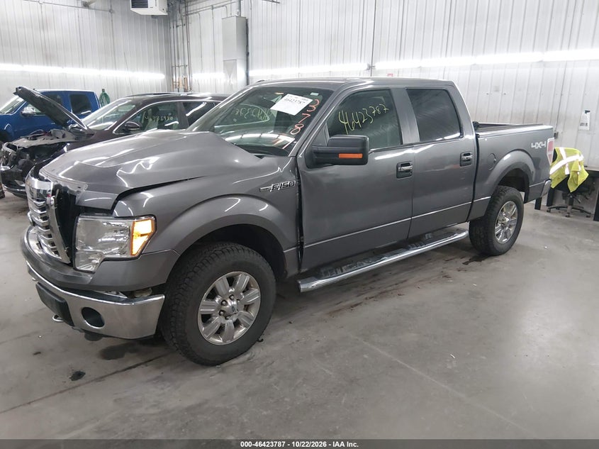 Vin: 1ftfw1ef5bkd73604, lot: 46924145, ford f-150 xlt 20112