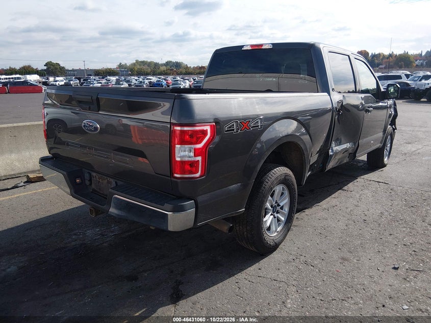 Vin: 1ftfw1e51lke80576, lot: 46931418, ford f-150 xlt 20204