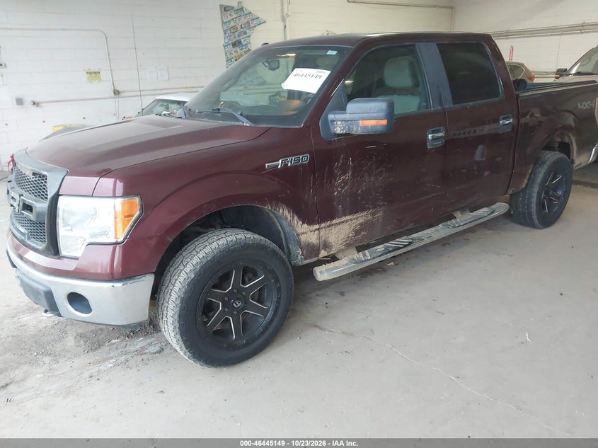 2009 Ford F-150 Fx4/King Ranch/Lariat/Platinum/Xl/Xlt, Обычный износ, IAAI, VIN 1FTPW14V89KC81992 — фото 2