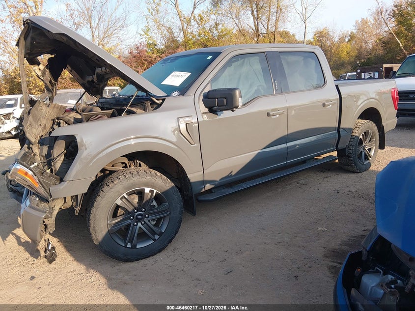 Vin: 1ftew1ep4mfc44057, lot: 46960593, ford f-150 xlt 20212