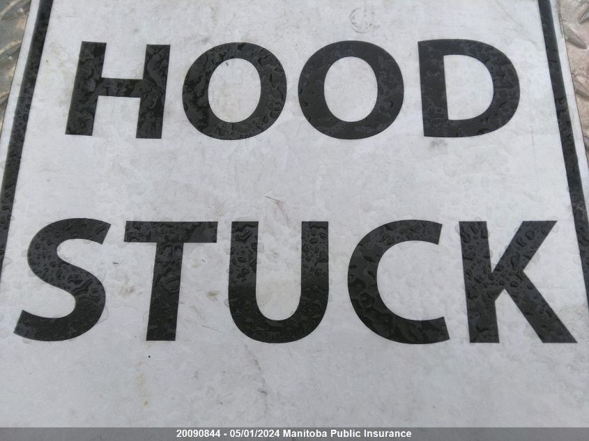 1999 Nissan Pathfinder VIN: JN8AR05Y6XW308164 Lot: 20090844